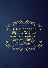 Descriptions And Figures Of Some New Lepidopterous Insects, Chiefly From Nepal