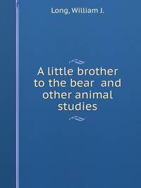 A little brother to the bear and other animal studies