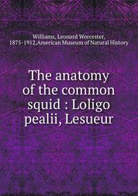 The anatomy of the common squid : Loligo pealii, Lesueur