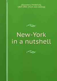 New-York in a nutshell