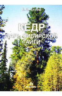 Кедр