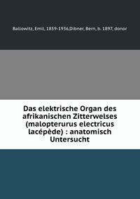 Das elektrische Organ des afrikanischen Zitterwelses (malopterurus electricus lacepede) : anatomisch Untersucht