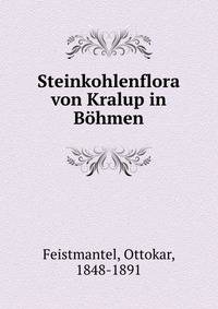 Steinkohlenflora von Kralup in Bohmen