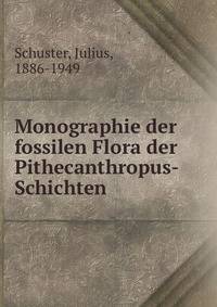Monographie der fossilen Flora der Pithecanthropus-Schichten