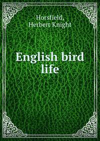 English bird life