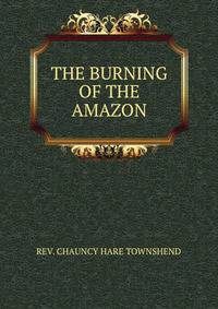 THE BURNING OF THE AMAZON