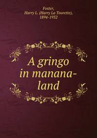 A gringo in manana-land