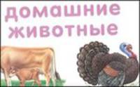 Цветы. Домашние животные