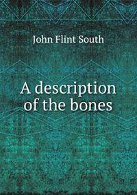 A description of the bones