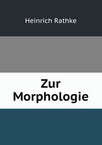 Zur Morphologie