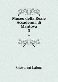 Museo della Reale Accademia di Mantova. 3