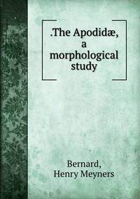 .The Apodid?, a morphological study