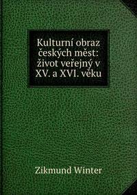 Kulturni obraz ceskych mest: zivot verejny v XV. a XVI. veku