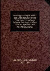 Die Aegyptologie. Abriss der Entzifferungen und Forschungen auf dem Gebiete der aegyptischen Schrift, Sprache und Alterthumskunde