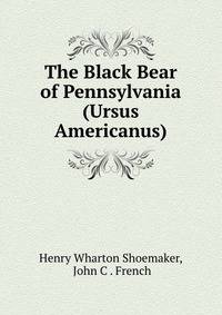 The Black Bear of Pennsylvania (Ursus Americanus)