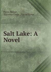 Salt Lake: A Novel