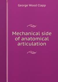 Mechanical side of anatomical articulation