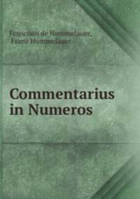 Commentarius in Numeros