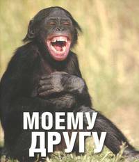 Моему другу