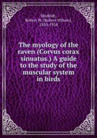 The myology of the raven (Corvus corax sinuatus.) A guide to the study of the muscular system in birds