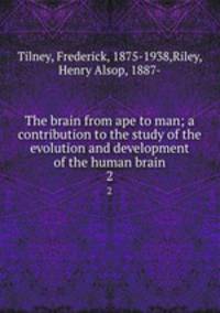 The brain from ape to man; a contribution to the study of the evolution and development of the human brain. 2
