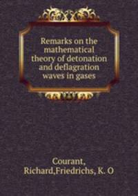 Remarks on the mathematical theory of detonation and deflagration waves in gases