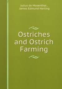 Ostriches and Ostrich Farming