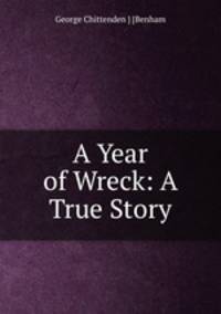 A Year of Wreck: A True Story
