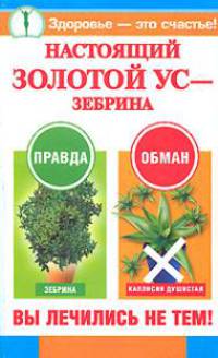 Настоящий золотой ус - зебрина. Вы лечились не тем! - (Здоровье - это счастье)