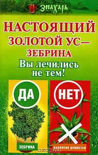 Настоящий золотой ус - зебрина. Вы лечились не тем! - (Знахарь)