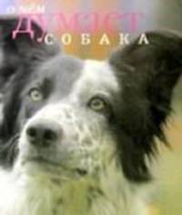 О чем думает собака