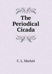 The Periodical Cicada