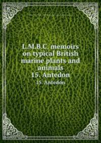L.M.B.C. memoirs on typical British marine plants and animals. 15. Antedon