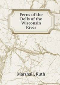 Ferns of the Dells of the Wisconsin River