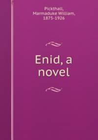 Enid, a novel
