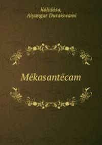 Mekasantecam