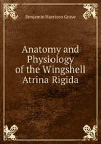 Anatomy and Physiology of the Wingshell Atrina Rigida