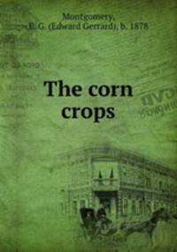 The corn crops