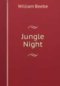 Jungle Night