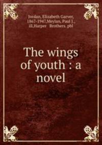 The wings of youth : a novel