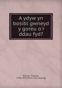 A ydyw yn bosibl gwneyd y goreu o