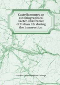 Castellamonte; an autobiographical sketch illustrative of Italian life during the insurrection .