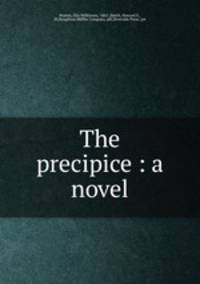The precipice : a novel