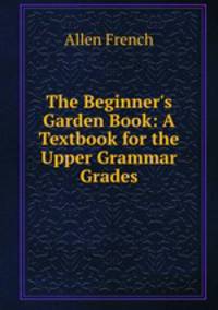 The Beginner