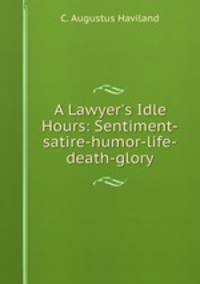 A Lawyer