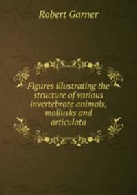Figures illustrating the structure of various invertebrate animals, mollusks and articulata