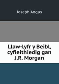 Llaw-lyfr y Beibl, cyfieithiedig gan J.R. Morgan