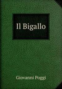 Il Bigallo