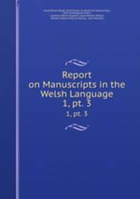 Report on Manuscripts in the Welsh Language. 1, pt. 3