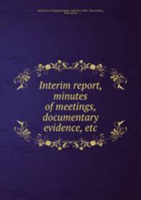 Interim report, minutes of meetings, documentary evidence, etc